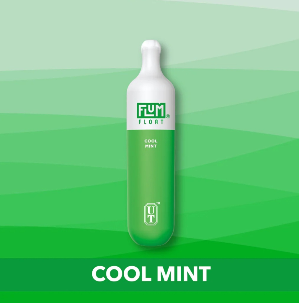 Flum Pebble Float Flavors 3000 Puffs Cool mint